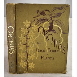 Orchids, the Royal Family of Plants